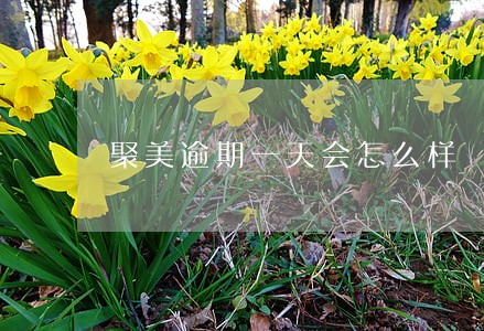 聚美逾期一天会怎么样 聚美逾期一天会怎么样