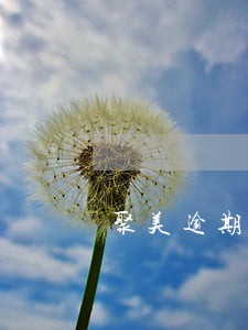 聚美逾期自动退货 聚美逾期自动退货