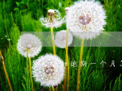 聚美金融逾期一个月怎么办