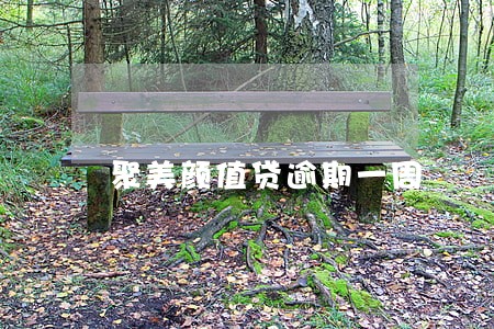 聚美颜值贷逾期一周 聚美颜值贷逾期一周