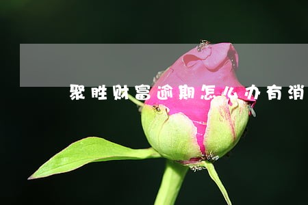聚胜财富逾期怎么办有消息吗 聚胜财富逾期怎么办有消息吗