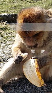 聚财宝逾期半个月 聚财宝逾期半个月