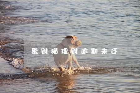 聚财猫理财逾期未还 聚财猫理财逾期未还