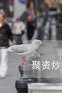 聚资炒期货违法吗 聚资炒期货违法吗