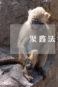 聚鑫法律咨询是不是真的 聚鑫法律咨询是不是真的
