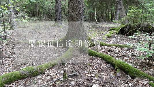 聚银征信逾期修复 聚银征信逾期修复