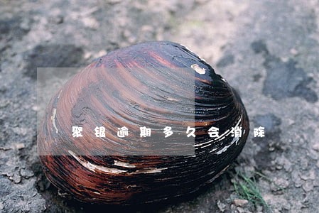 聚银逾期多久会消除 聚银逾期多久会消除