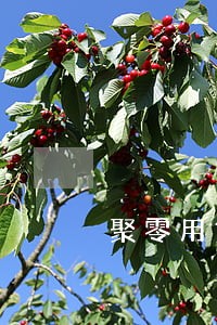 聚零用贷逾期了