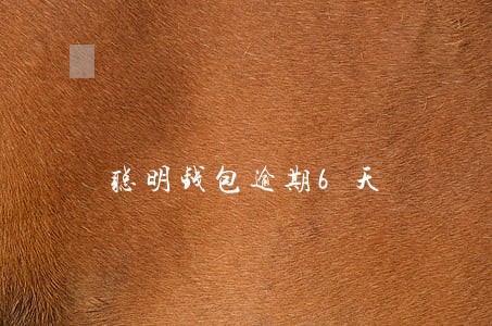 聪明钱包逾期6天 聪明钱包逾期6天