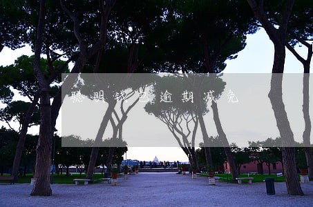 聪明钱包逾期减免 聪明钱包逾期减免