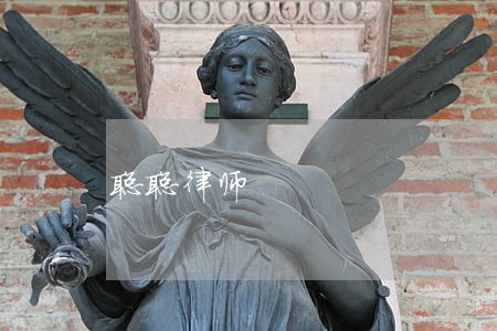 聪聪律师 聪聪律师