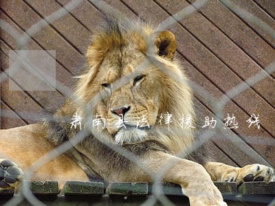 肃南县法律援助热线 肃南县法律援助热线