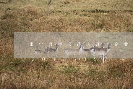 肃宁县举报违法开工企业电话/2023020435357 肃宁县举报违法开工企业电话/2023020435357