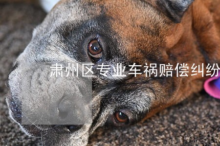 肃州区专业车祸赔偿纠纷律师 肃州区专业车祸赔偿纠纷律师