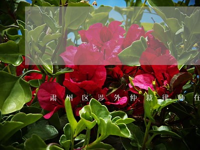 肃州区涉外仲裁律师在线免费咨询 肃州区涉外仲裁律师在线免费咨询