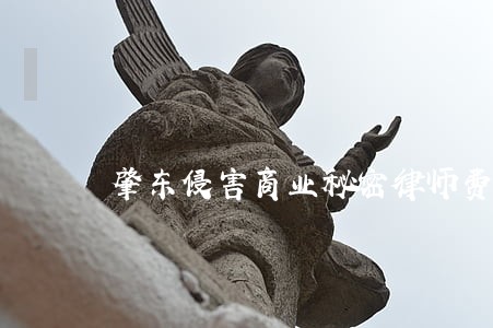 肇东侵害商业秘密律师费用