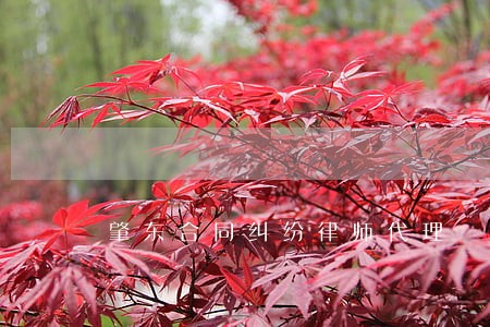 肇东合同纠纷律师代理 肇东合同纠纷律师代理