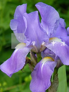 肇东市消费权益律师在线免费咨询 肇东市消费权益律师在线免费咨询