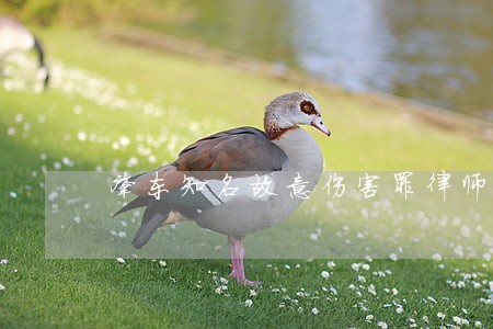 肇东知名故意伤害罪律师怎么收费 肇东知名故意伤害罪律师怎么收费