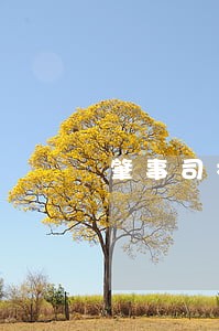 肇事司机法院撒野 肇事司机法院撒野