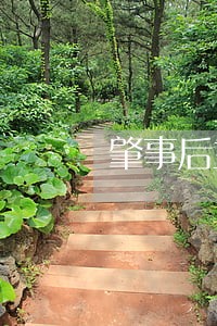 肇事后主动赔偿法院从轻处罚 肇事后主动赔偿法院从轻处罚
