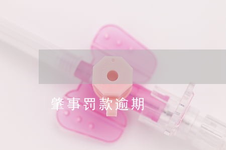 肇事罚款逾期 肇事罚款逾期