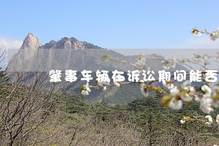 肇事车辆在诉讼期间能否过户 肇事车辆在诉讼期间能否过户