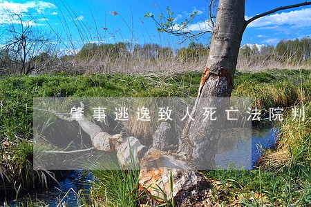 肇事逃逸致人死亡法院判了二年 肇事逃逸致人死亡法院判了二年