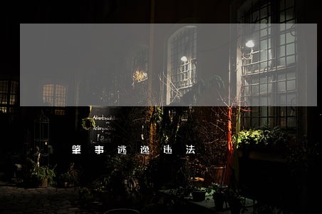 肇事逃逸违法 肇事逃逸违法
