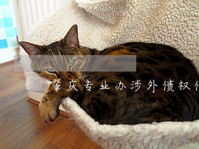 肇庆专业办涉外债权债务律师