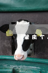 肇庆个人欠款逾期咨询哪家好 肇庆个人欠款逾期咨询哪家好