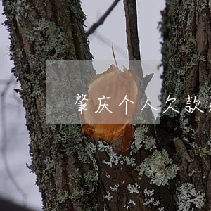 肇庆个人欠款逾期方式 肇庆个人欠款逾期方式