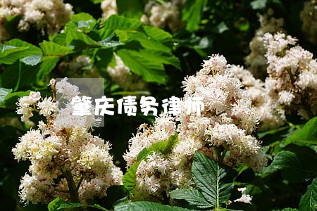 肇庆债务律师 肇庆债务律师
