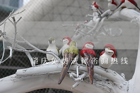 肇庆免费法律咨询热线 肇庆免费法律咨询热线