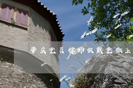 肇庆党员律师佩戴党徽上岗 肇庆党员律师佩戴党徽上岗