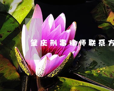 肇庆刑事律师联系方式 肇庆刑事律师联系方式