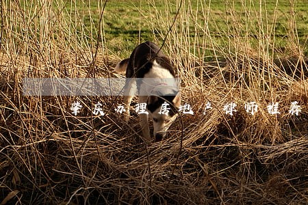 肇庆办理房地产律师推荐 肇庆办理房地产律师推荐