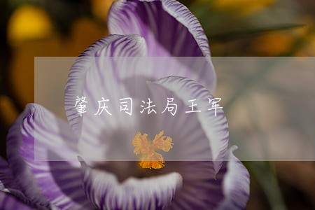 肇庆司法局王军 肇庆司法局王军