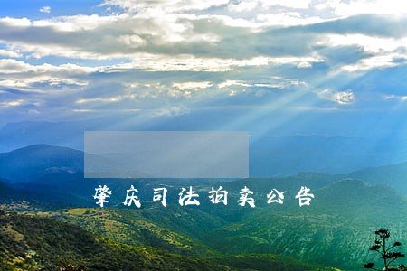 肇庆司法拍卖公告 肇庆司法拍卖公告