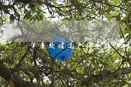 肇庆处理遗产继承法律问题律师 肇庆处理遗产继承法律问题律师