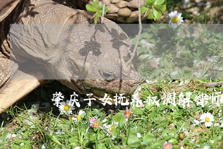肇庆子女抚养权调解律师电话