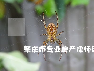 肇庆市专业房产律师团队 肇庆市专业房产律师团队