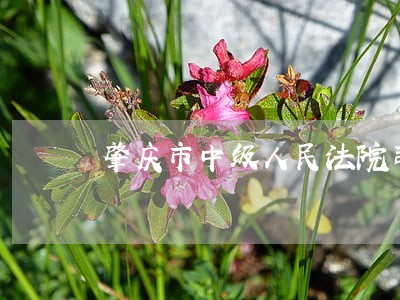 肇庆市中级人民法院司法拍卖 肇庆市中级人民法院司法拍卖
