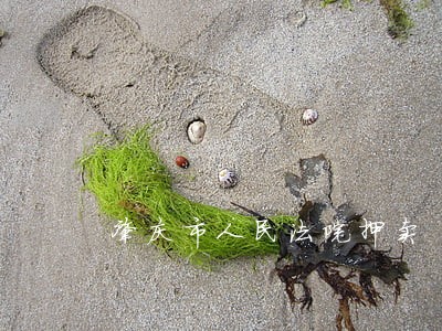 肇庆市人民法院押卖 肇庆市人民法院押卖