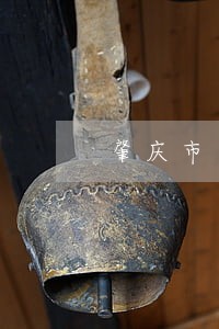 肇庆市司法考试考点