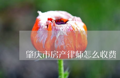 肇庆市房产律师怎么收费 肇庆市房产律师怎么收费
