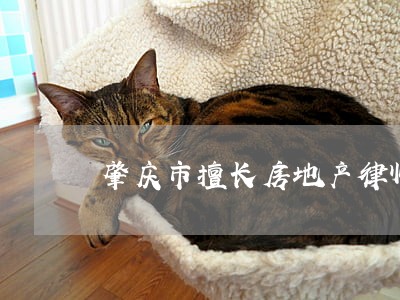 肇庆市擅长房地产律师 肇庆市擅长房地产律师