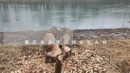肇庆市法律咨询处怎么样 肇庆市法律咨询处怎么样