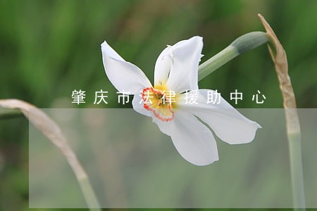 肇庆市法律援助中心 肇庆市法律援助中心