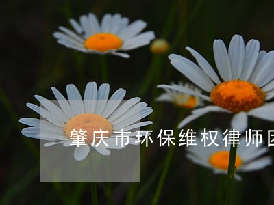 肇庆市环保维权律师团队 肇庆市环保维权律师团队